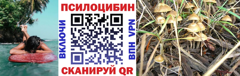 Псилоцибиновые грибы ЛСД  Электроугли 